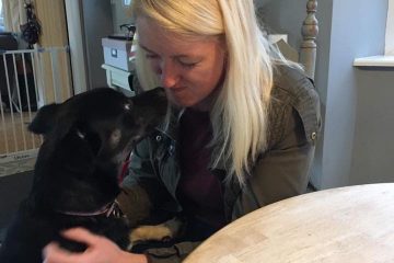 Redditch dog walking - dog walking in Redditch and Studley