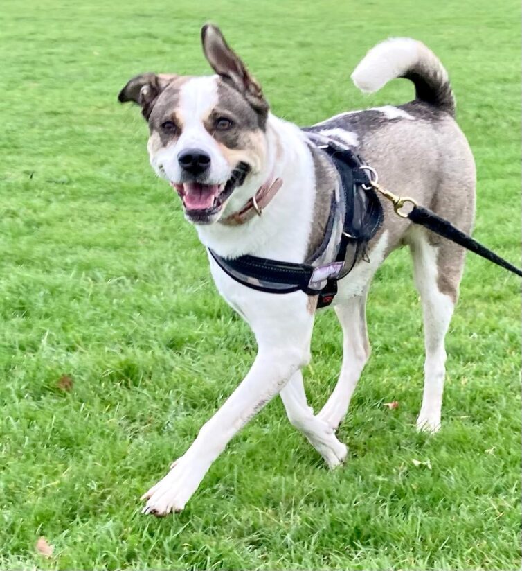 Lexi on the lead smiling at the camera