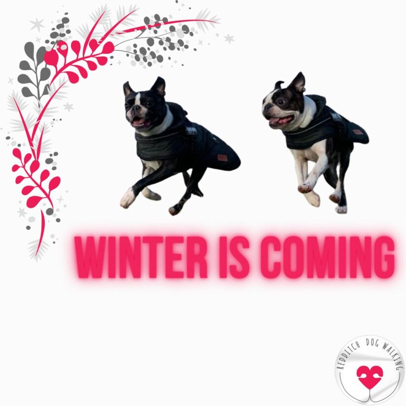 winter is coming