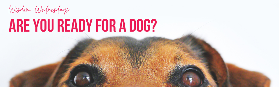 are you ready for a dog